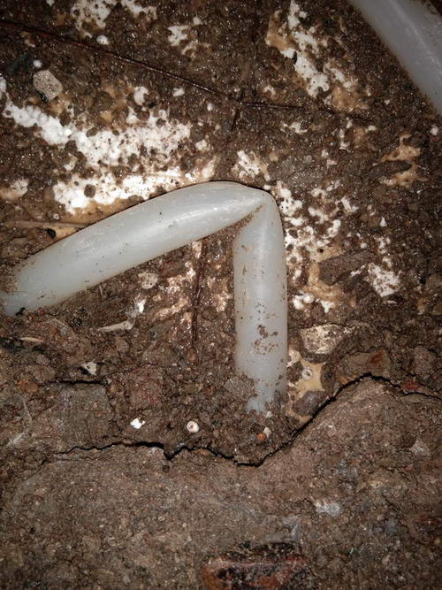 高密堵点精准查找